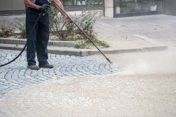 Best Spring Cleaning  in Liberty City, TX
